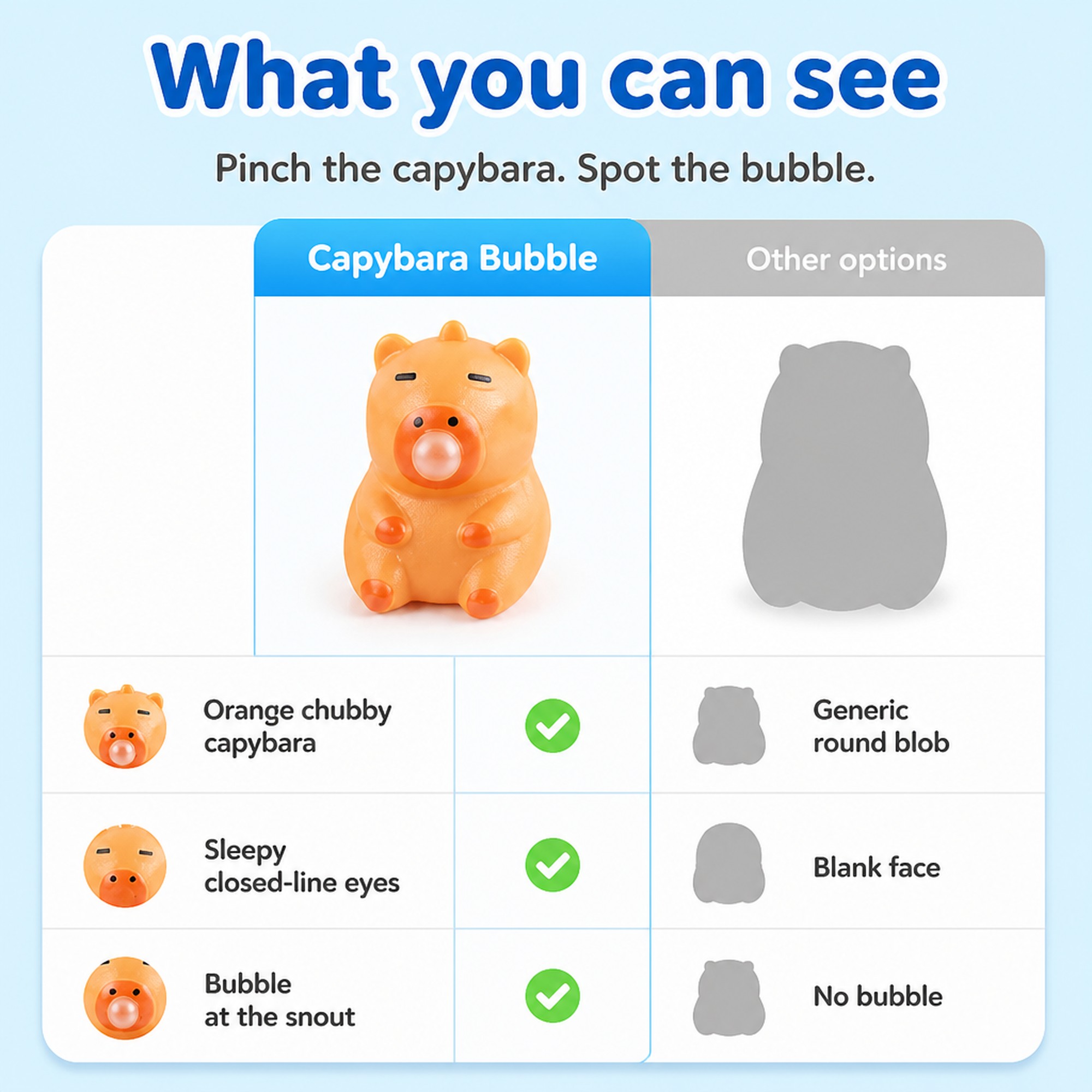 Capybara Bubble Squishy compared with other options