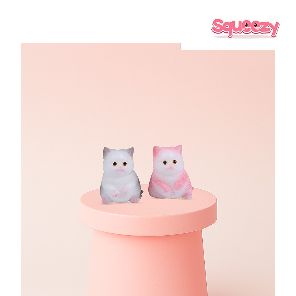 Cat Squishies being squeezed