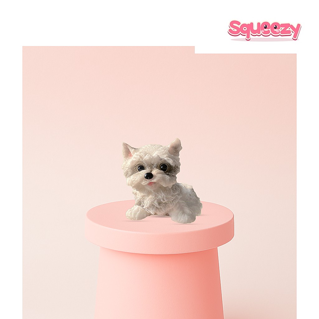 Jumbo Maltese Dog being squeezed