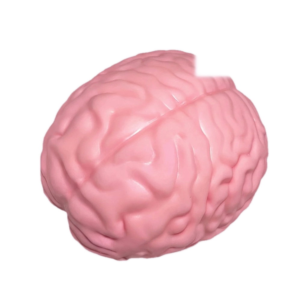 Anti Stress Brain Squishy Giant Soft Squeeze Ball