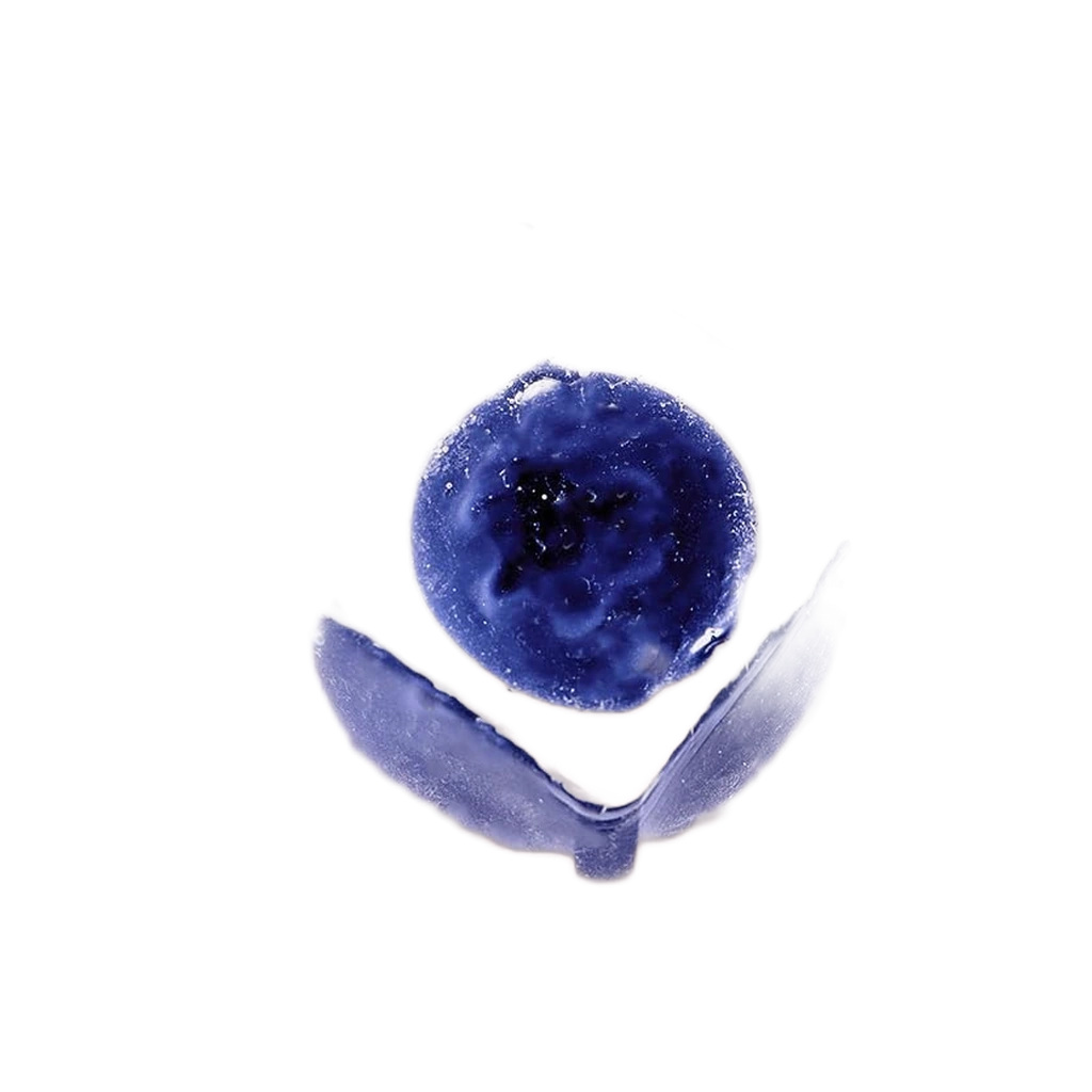 Blueberry Squishy Ice Cube Clear Squeeze Sensory Fidget Toy