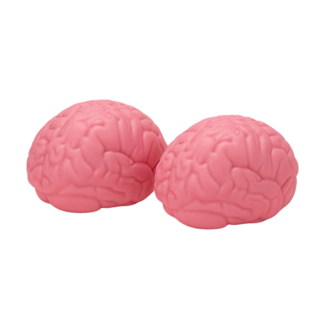 Double Brain Squishy 2 Pack Stretchy Squeeze Toys