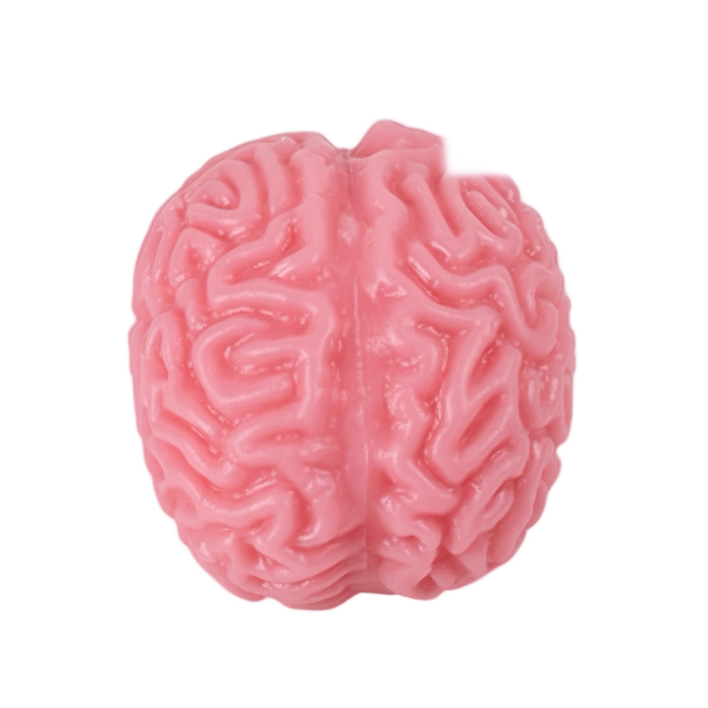 Mini Brain Squishy Pocket Stress Ball Fidget Toy