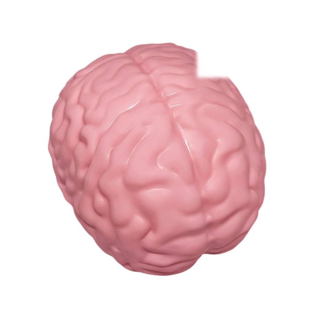 Moldable Brain Squishy Giant Squeeze Stress Toy