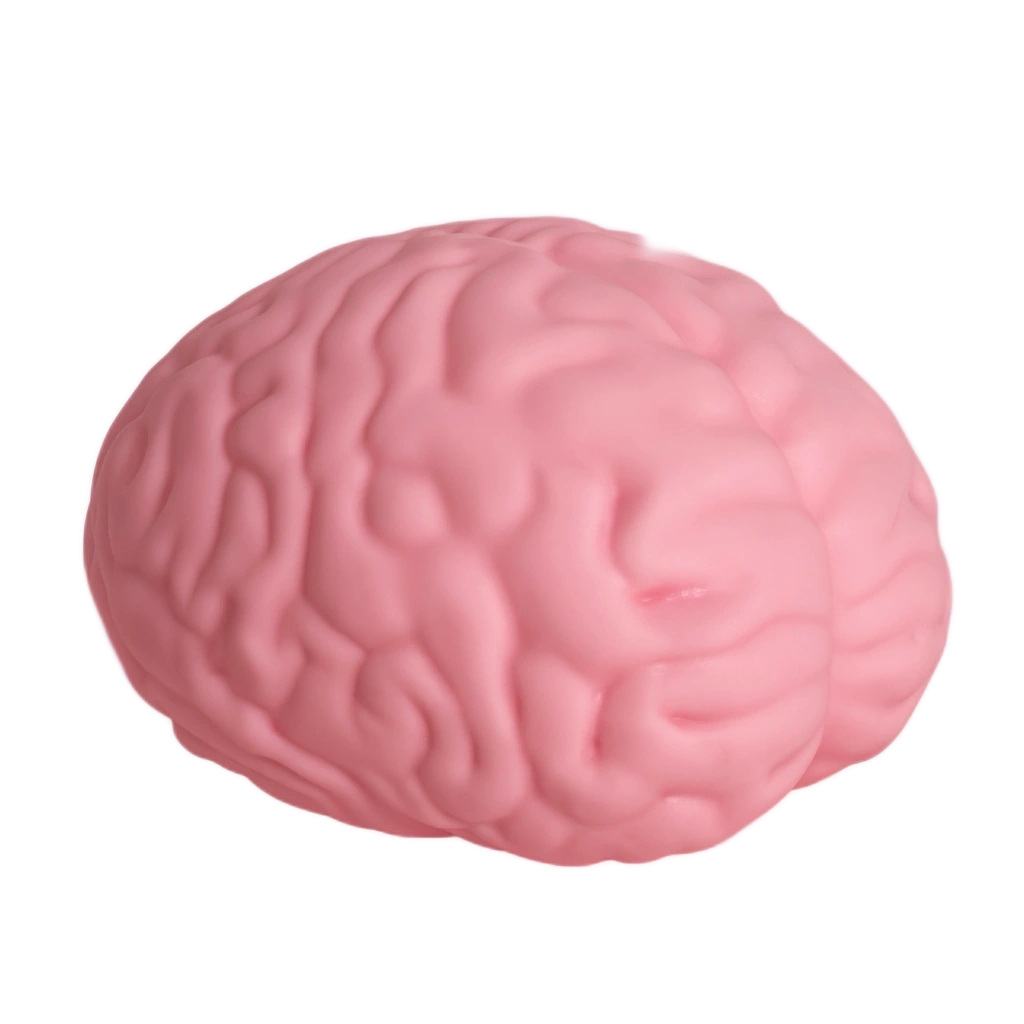Slow Rising Brain Squishy Sensory Fidget Desk Toy
