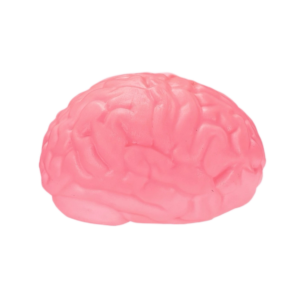 Stretchy Brain Squishy Squeeze Stress Relief Toy
