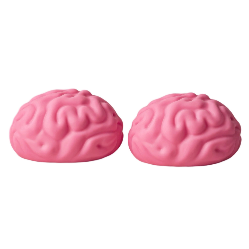 Twin Brain Squishy Giant 2 Pack Slow Rising Toys